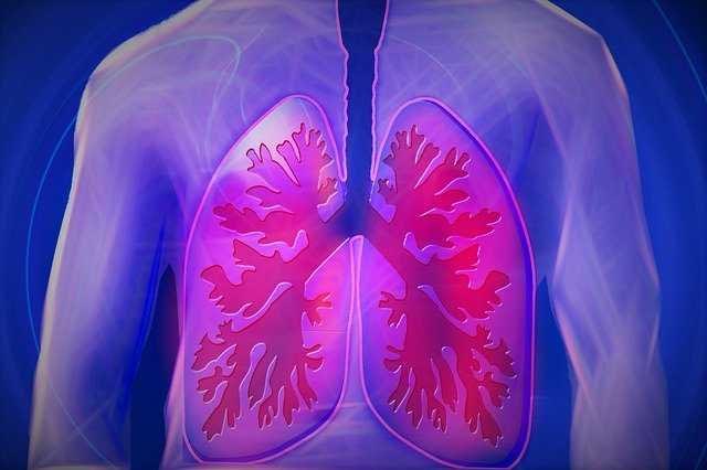 lungs diseases