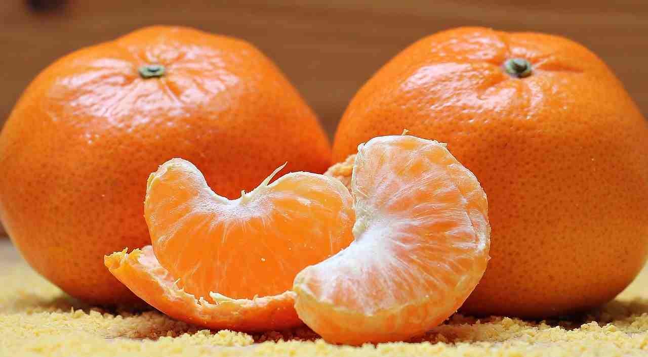 https://mlskcp6u1vip.i.optimole.com/v1kc-No-5pmm3pjW/w:auto/h:auto/q:auto/http://www.knowledgeland.in/wp-content/uploads/2020/06/health-benefits-of-oranges.jpg