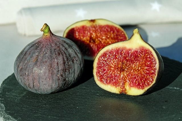fig