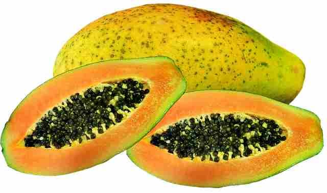 papaya boost immune