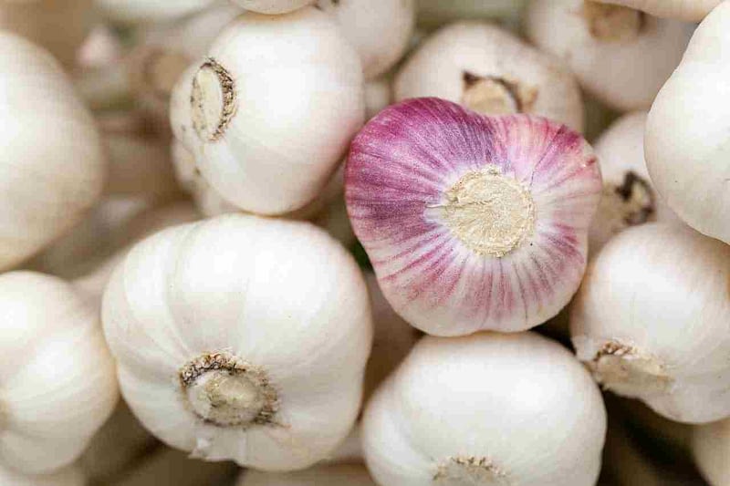 Garlic improve your immunity