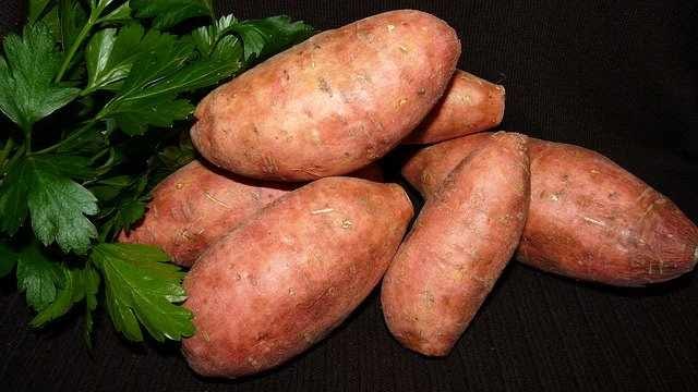sweet potatoes help to improve immune system