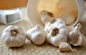 magnificent benefits of garlic