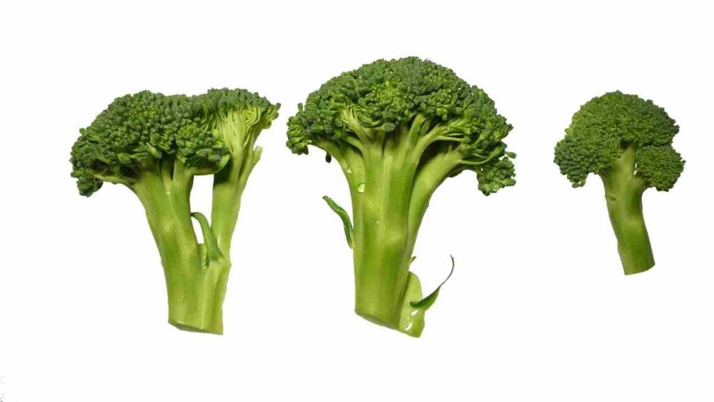 Broccoli strength immune system