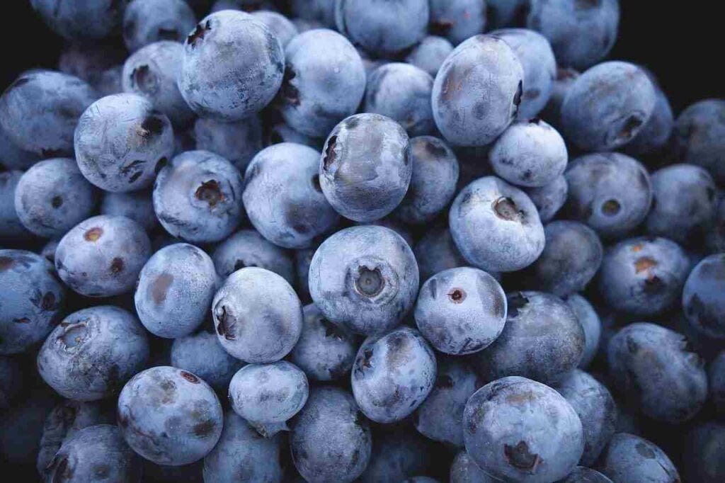 blueberries make immune stronger